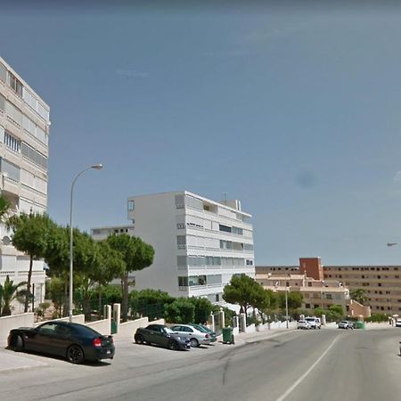 Torrevieja, La Mata 1 Bedroom Apartment Eksteriør billede
