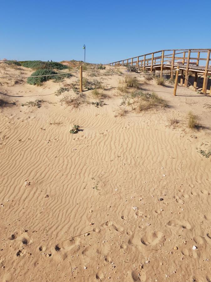 Torrevieja, La Mata 1 Bedroom Apartment Eksteriør billede