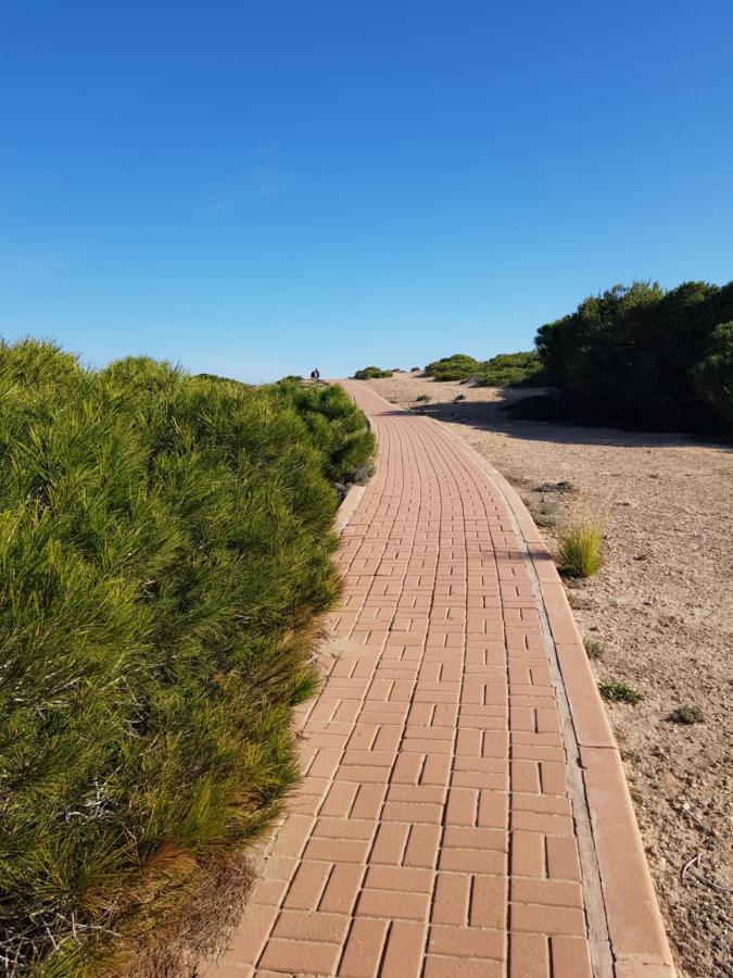 Torrevieja, La Mata 1 Bedroom Apartment Eksteriør billede